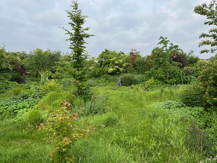 Foto 62 van Oude Baan 113