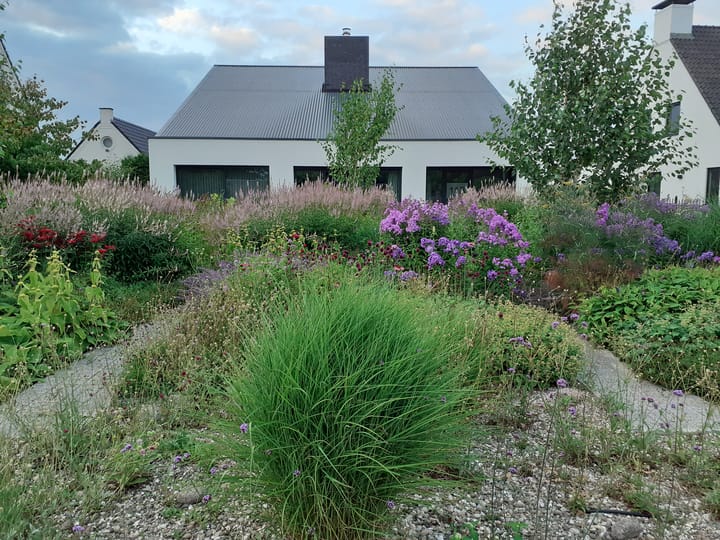 Foto 63 van Oude Baan 113