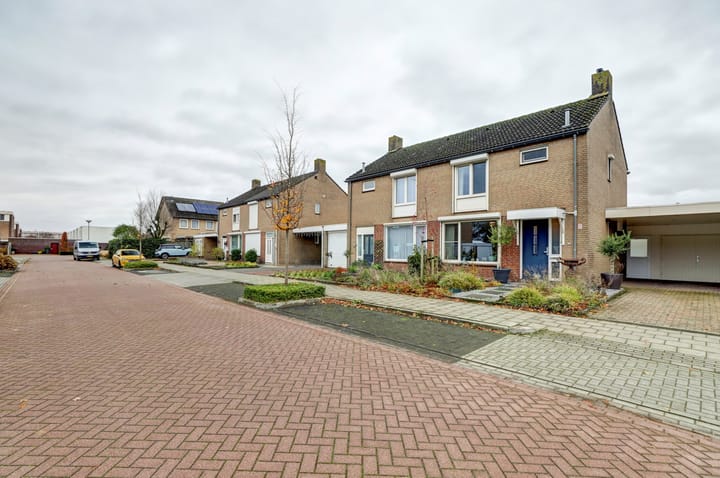 Foto 32 van het Eensel 7