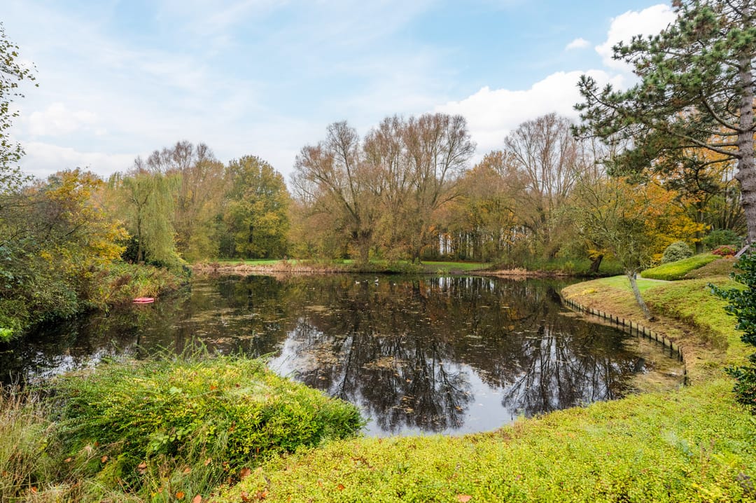 Foto 28 van Zeeweg 316