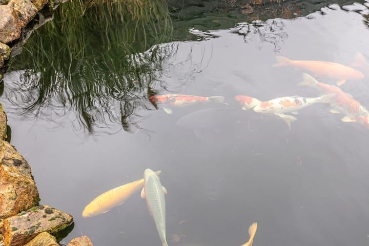 Foto 26 van Jan van Amstelstraat 4