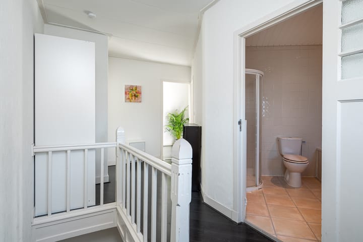 Foto 27 van Carel van Manderstraat 52