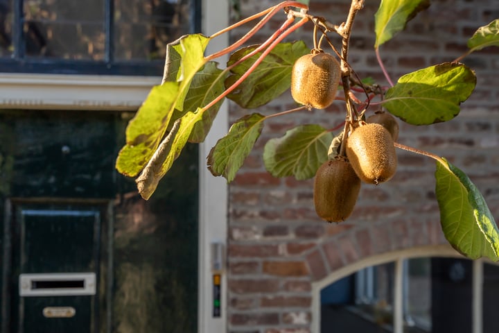 Bekijk foto 38 van Koningstraat 43