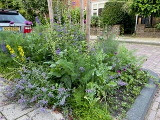 Foto 29 van Colenbranderstraat 5