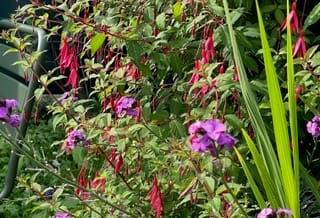 Foto 31 van Colenbranderstraat 5