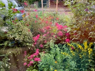 Foto 33 van Colenbranderstraat 5