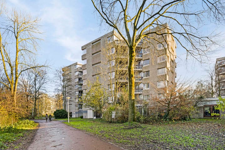 Foto 2 van Gouden Leeuw 907