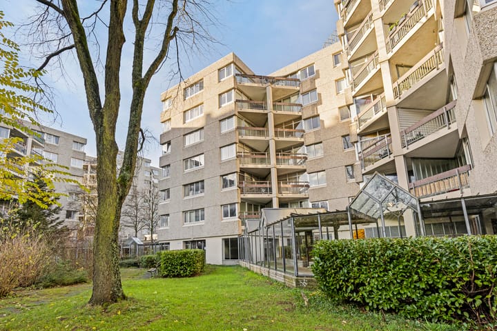 Foto 3 van Gouden Leeuw 907