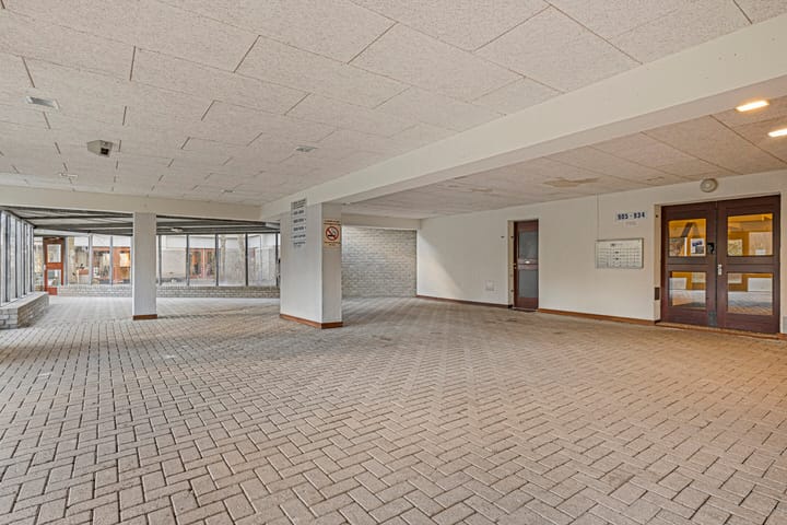 Foto 4 van Gouden Leeuw 907