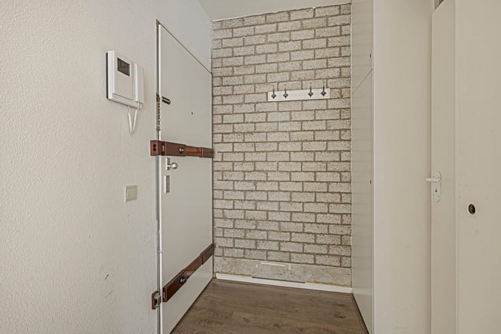 Foto 5 van Gouden Leeuw 907