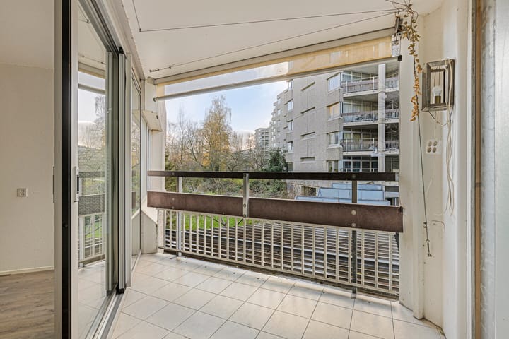 Photo 12 of Gouden Leeuw 907