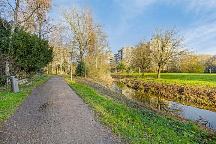 Photo 17 of Gouden Leeuw 907