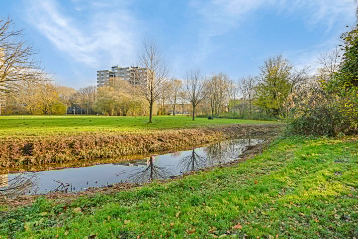 Photo 19 of Gouden Leeuw 907