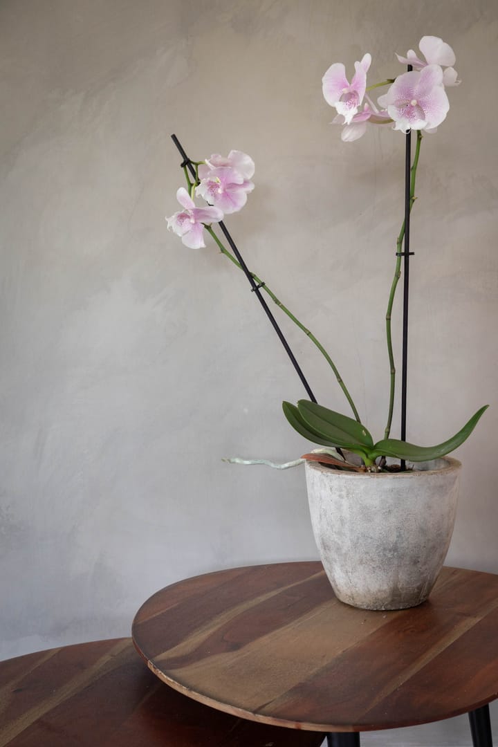 Foto 19 van Zomertuin 27