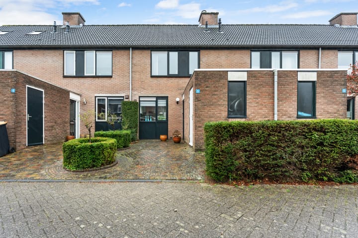 Foto 1 van Schildmos 6