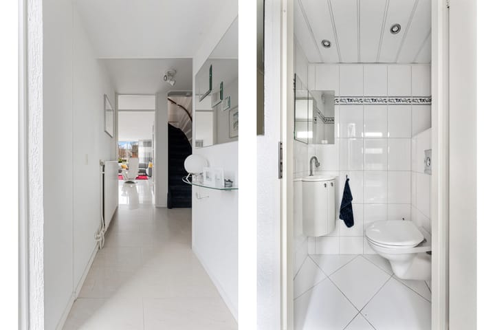 Foto 3 van Schildmos 6