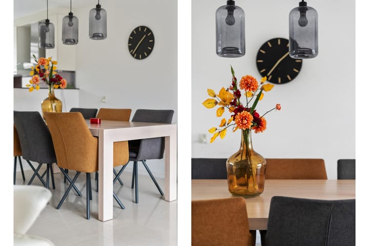 Foto 12 van Schildmos 6