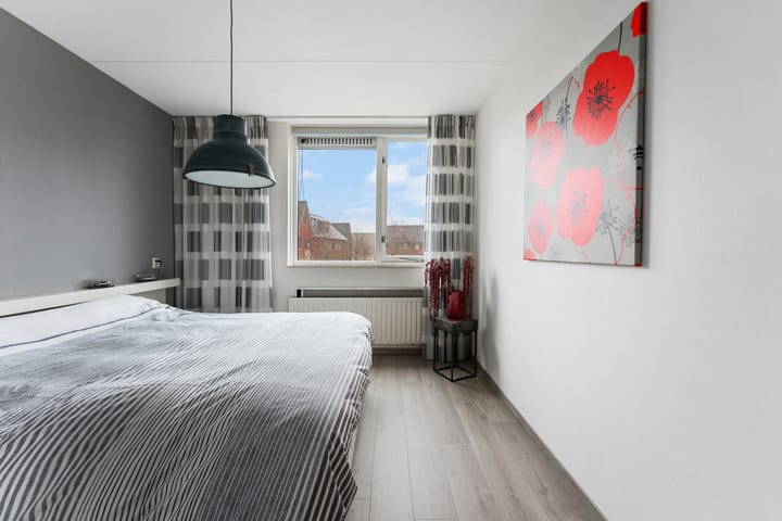 Foto 19 van Schildmos 6