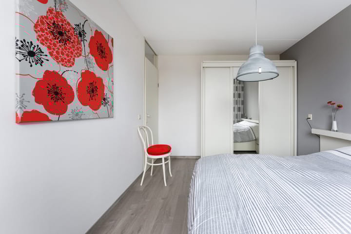 Foto 20 van Schildmos 6