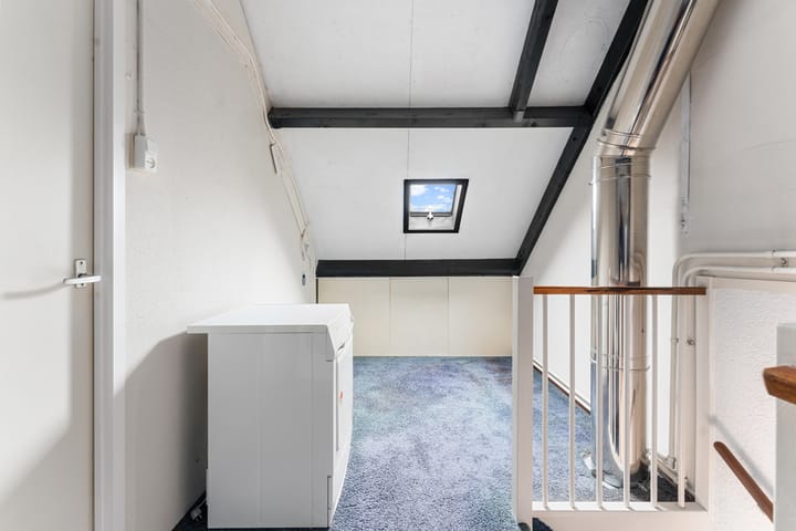 Foto 28 van Schildmos 6