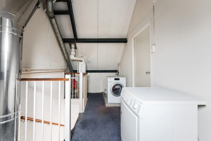 Foto 29 van Schildmos 6