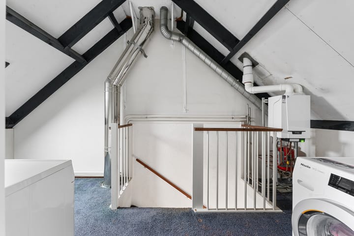 Foto 30 van Schildmos 6