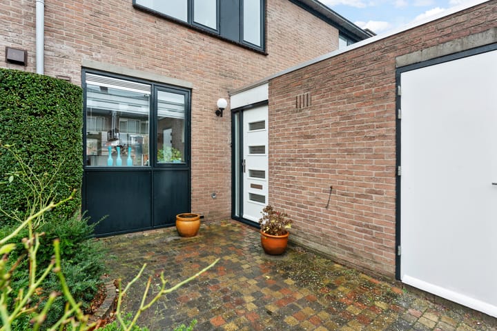 Foto 43 van Schildmos 6