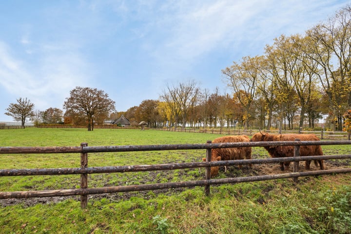 Bekijk foto 34 van Franse Hoef 2-A