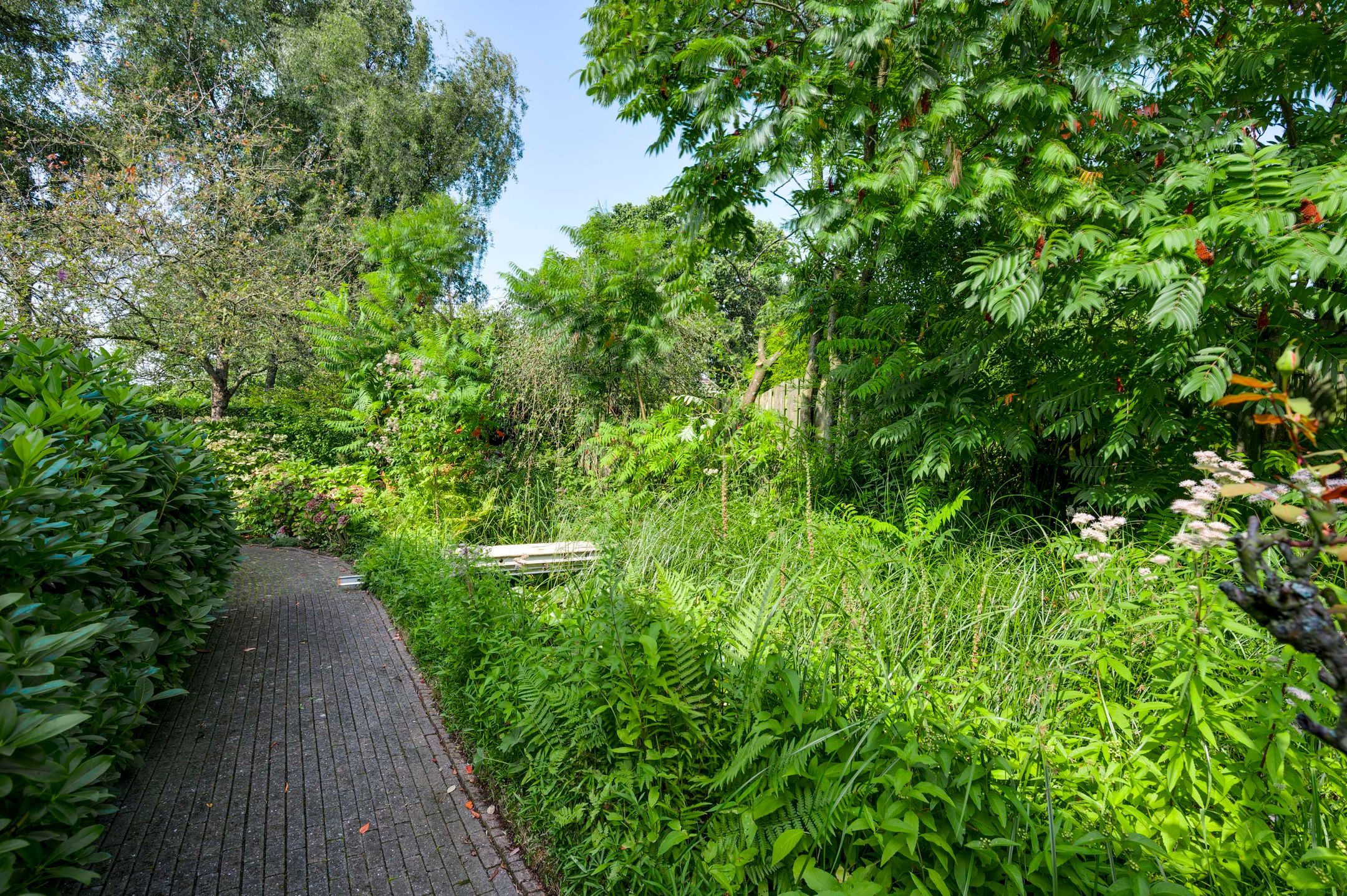 Foto 27 van Pastoor Vranckenlaan 70