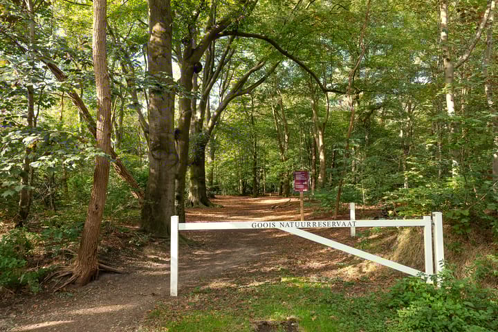 Foto 26 van Rossinilaan 24