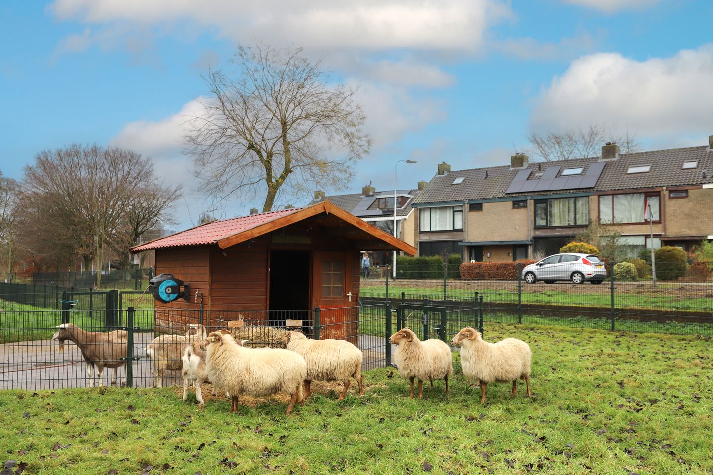 Foto 50 van Mazurkastraat 20