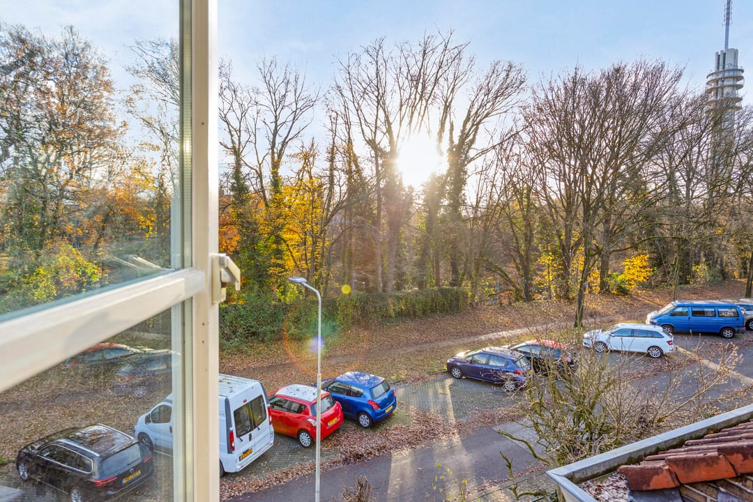 Photo 38 of Heijenoordseweg 26