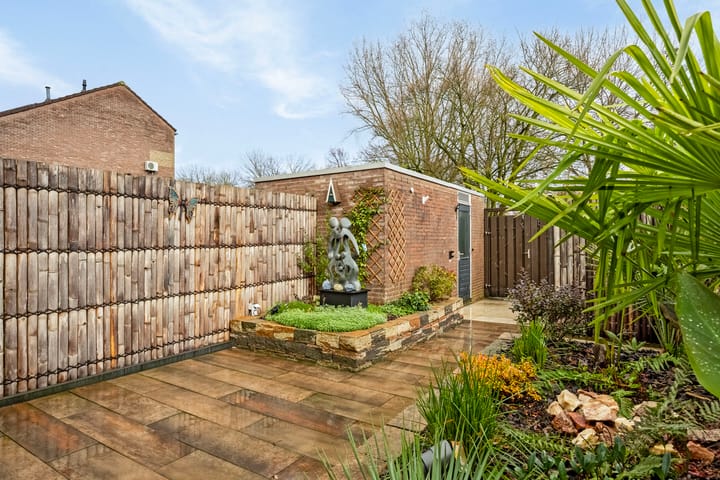 Foto 36 van Helmondstraat 50