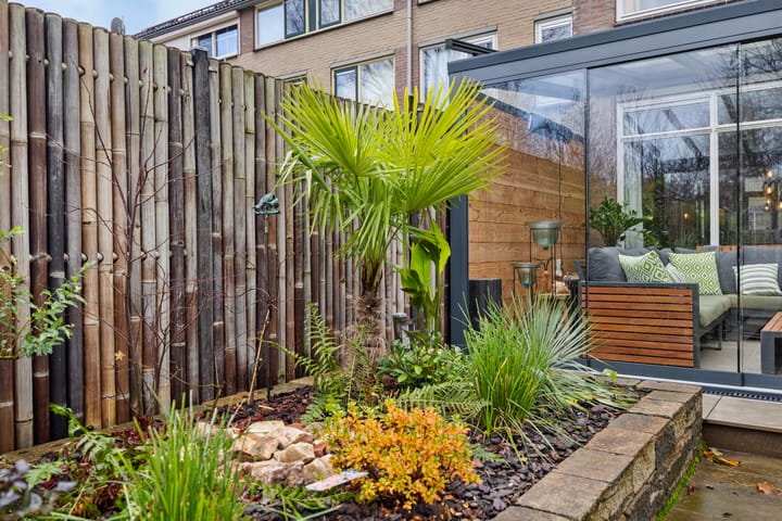 Foto 41 van Helmondstraat 50