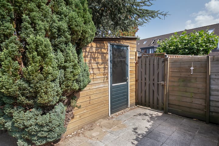 Foto 33 van Ocelotplantsoen 11