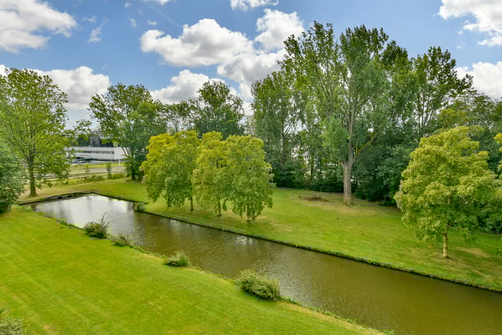 Foto 7 van Biesbosch 65