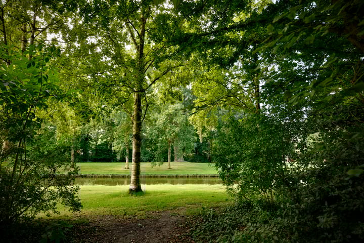 Foto 16 van Biesbosch 65