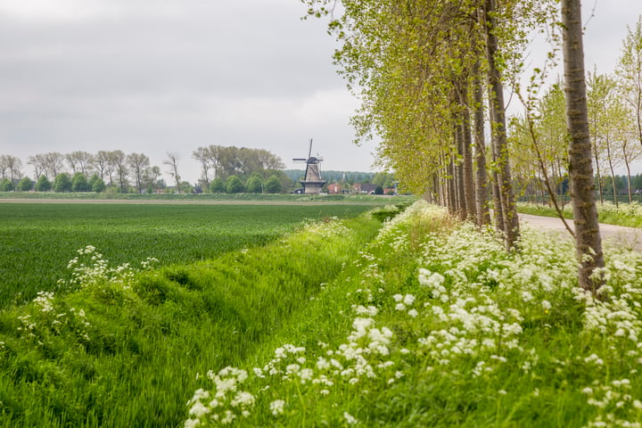 View photo 36 of Zandkreekstraat 9