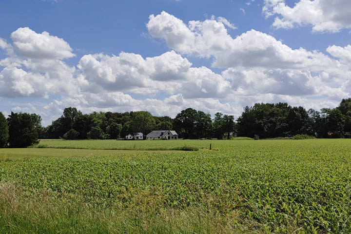 Bekijk foto 47 van Bisschopswijk 3