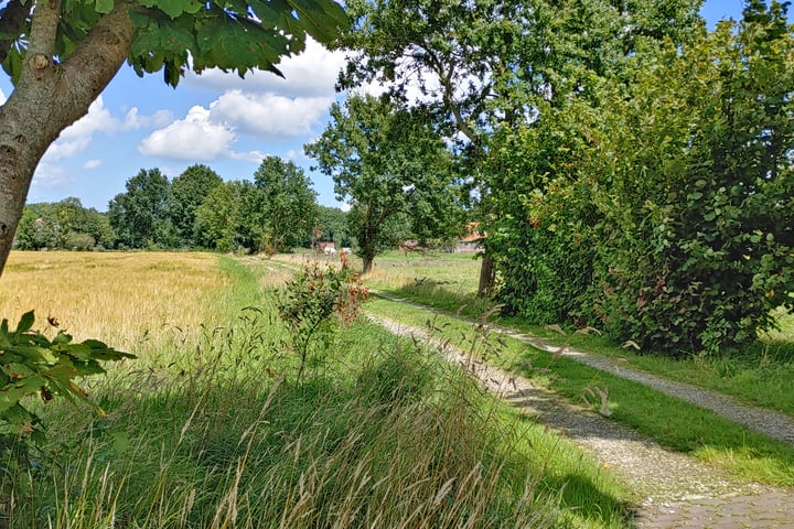 Bekijk foto 49 van Bisschopswijk 3