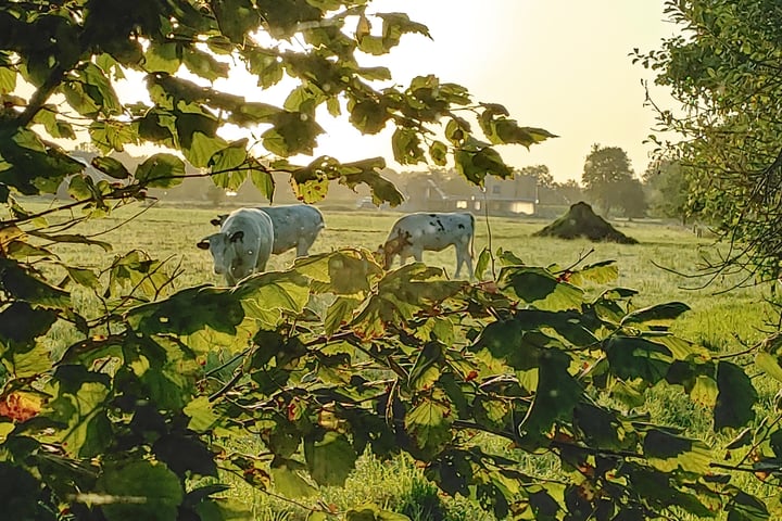 Bekijk foto 51 van Bisschopswijk 3