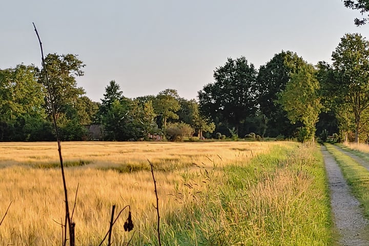 Bekijk foto 52 van Bisschopswijk 3