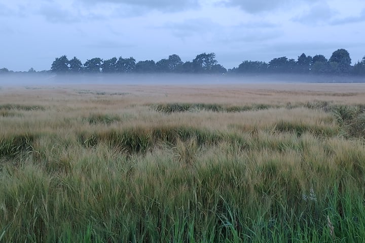 Bekijk foto 53 van Bisschopswijk 3