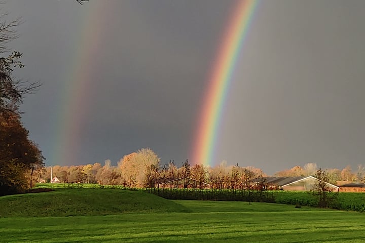 Bekijk foto 56 van Bisschopswijk 3