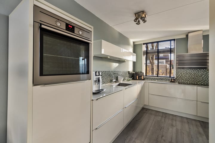 Foto 4 van Waterhoen 4