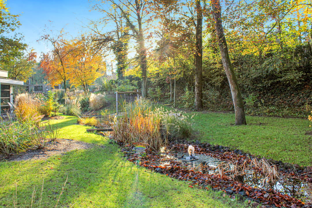 Foto 13 van Kuiltjesweg 44-119