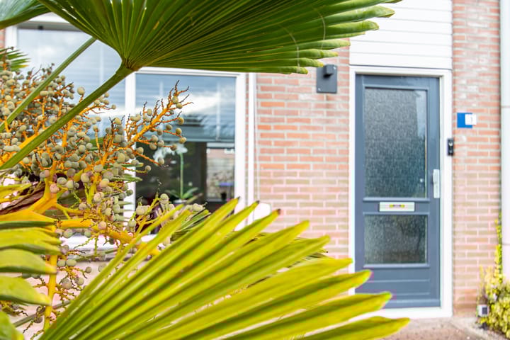 Foto 7 van Dokter van Wieringenstraat 3