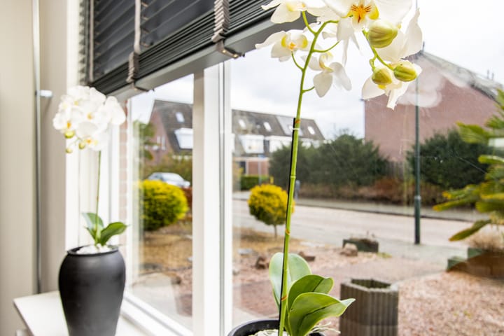 Foto 15 van Dokter van Wieringenstraat 3