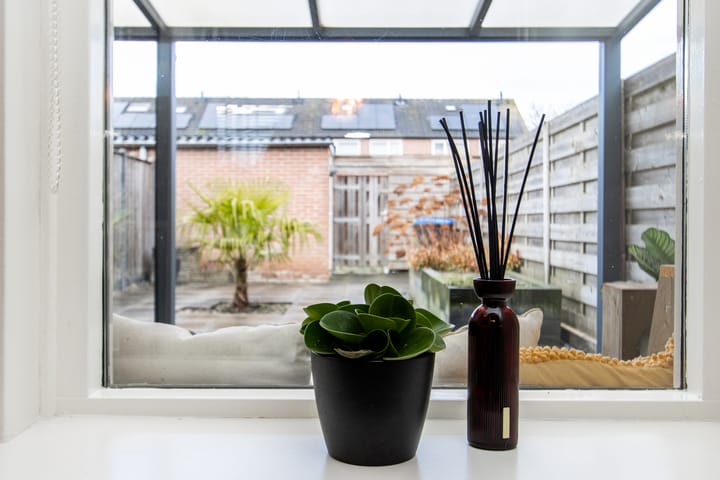 Foto 20 van Dokter van Wieringenstraat 3