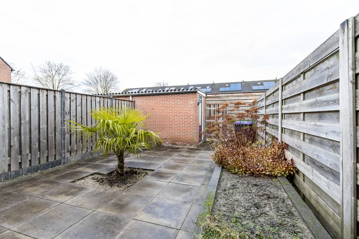 Foto 44 van Dokter van Wieringenstraat 3